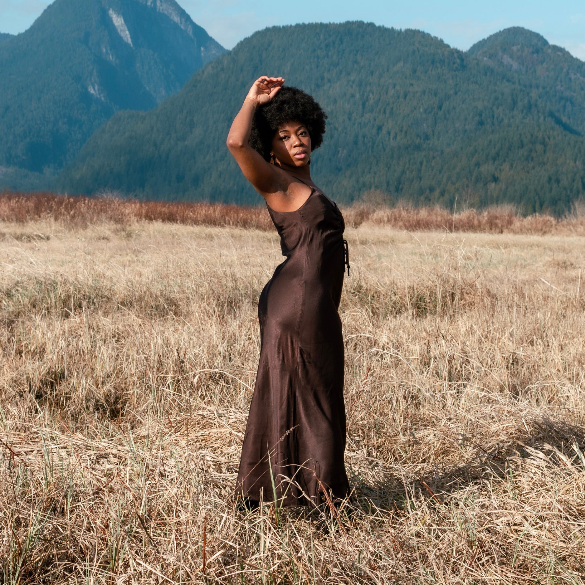 Brown Dresses
